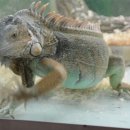 여주곤충박물관 이미지