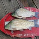 용곡낚시터 이미지