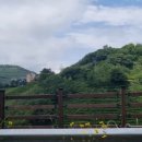 대원농장2 이미지