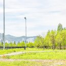 동탄2 제1호 체육공원 축구장 | “이번 주말은 낙동강 둔치로” 입장료 부담 없는 부산 최강 가성비 명소