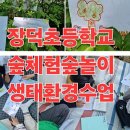 행복한숲생태교육연구소