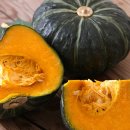 목감시티동물병원 이미지