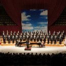 평화의 소리 이미지