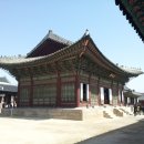 인정덕치 네이버블로그