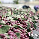 주현2농장 이미지