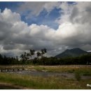 수영강변 이미지