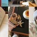 포토이즘박스제주삼화점
