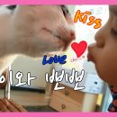 태희정육점