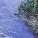 금호강1 이미지