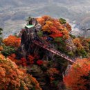 아주특별한여행 이미지