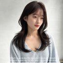 하눅(HANUK)