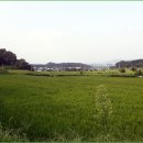 사양영당 이미지