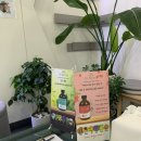 작전 | 계양구탈모 두피관리 닥터모락 작전점 솔직후기