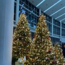 장사익 소리판 <꽃을 준다. 나에게> | 장사익 소리판 꽃을 준다, 나에게