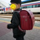 호야 달수 이미지