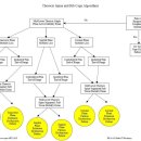 Thoracic spine and rib cage algorithms 이미지