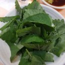 부산아구 이미지