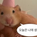 쇼텐베이지