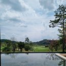 (주) 아워홈 더플레이어스GC점 | 베어크리크 춘천 - 명품퍼블릭 골프장 양잔디 파고온 후기