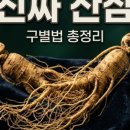 퍽페이크