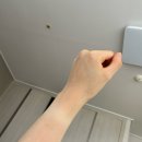 발해회센타 이미지