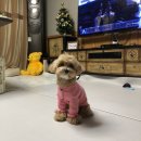 클러스터라운드 이미지