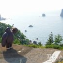 코스모스 산업 이미지