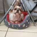 우리팜스 이미지