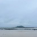 서쪽아이 이미지