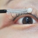 르사(LSA) 이미지