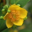 (주)지환 이미지