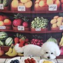 멍더가든 이미지