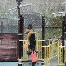 율하2지구_솔마루공원물놀이장 이미지