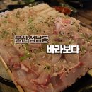 바라보다 - 포항시 남구 호미로3192번길 30 | 울산 성남동 해산물 맛집&술집 | 바라보다 내돈내산 솔직후기 🐟