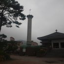 양지-13 이미지