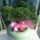 봉동농협주유소 이미지