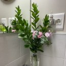 플로라제이 이미지