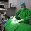 삼송동물병원 이미지