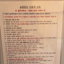 영천시야사지역아동센터 | [영천캠핑장]영천 보현산 별빛테마마을 후기(오토캠핑, 글램핑)
