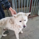 포승원정길 이미지