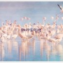 마라도 바다민박 이미지