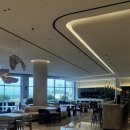 해비치리조트 | 제주 표선 해비치 리조트 내돈내산 후기💛 | 제주 가족여행 숙소