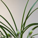 거목개발(주) 이미지