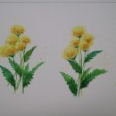 지사꿈꾸는작은도서관 이미지