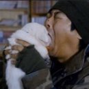 벨몽드펫 이미지