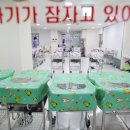 점선면 경향신문
