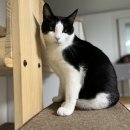 아이사랑방 이미지