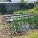 고흥사랑민박 이미지