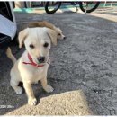 필세차장 | 파주실내크리닝 정밀하고 믿음직한 필스카샵 손세차장 후기