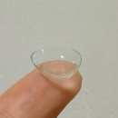 눈사랑안경위드렌즈 사송신도시점 | 뉴에버 원데이 부드러운 투명렌즈 눈사랑안경 위드렌즈 사송신도시점